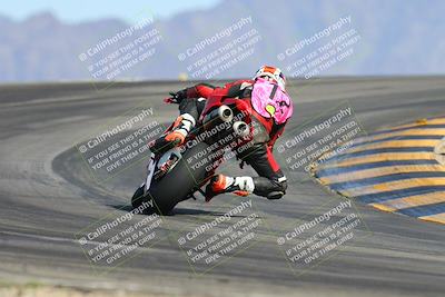 media/Mar-09-2024-SoCal Trackdays (Sat) [[bef1deb9bf]]/11-Turn 12 Backside (230pm)/